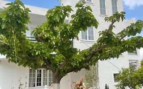 Villa Denis Ksamil